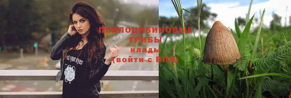 тгк Балахна