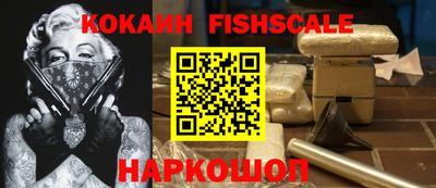 крисы Гатчина