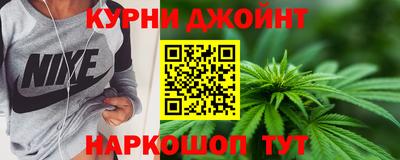 крисы Гатчина