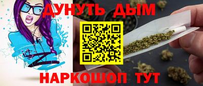 крисы Гатчина