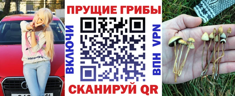 Псилоцибиновые грибы мухоморы  площадка телеграм  Балахна  kraken ТОР 
