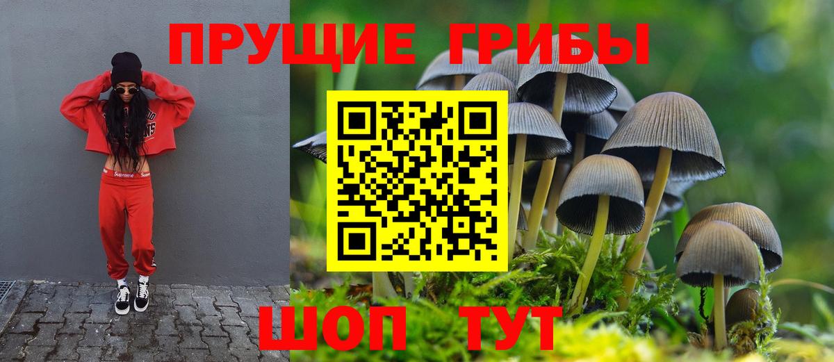 Галлюциногенные грибы прущие грибы Балахна