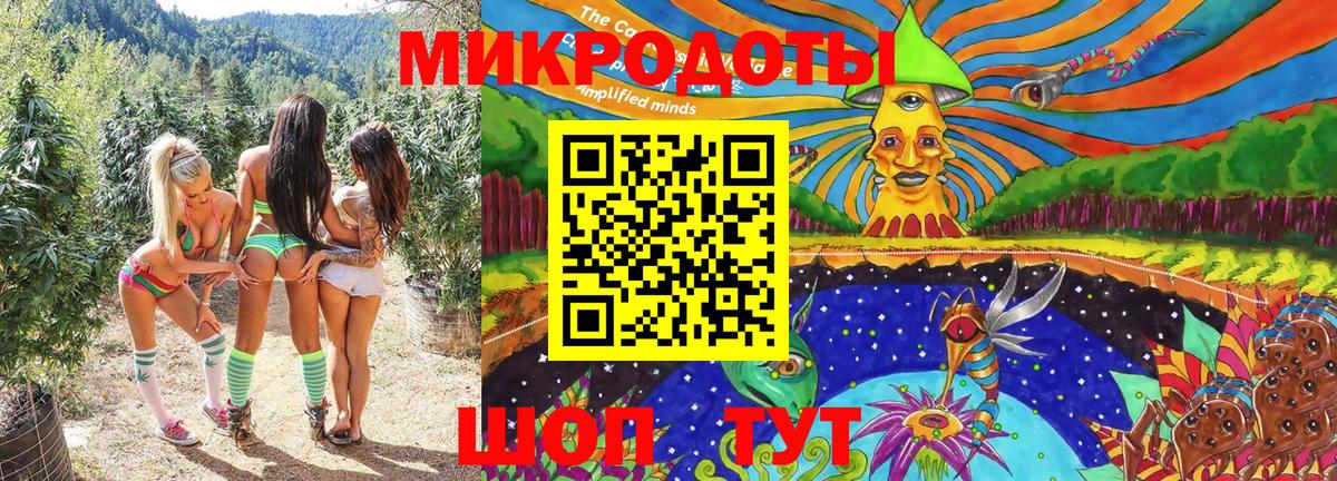 Псилоцибиновые грибы прущие грибы  Псилоцибиновые грибы Psilocybine cubensis  где купить наркоту  Балахна  Вход с VPN 
